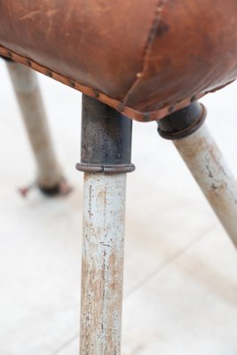 Gymnastics Horse in Leather and Metal, 1950s-KNM-1806857