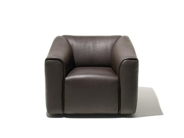 DS-47 - Leather armchair by de Sede