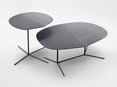 IVY - Steel and wood coffee table by Paola Lenti