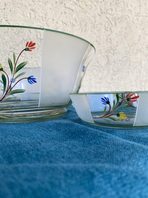 Hand-Painted Flower Patterned Glass Bowls, Hungary, 1950s, Set of 7-OXJ-1373117