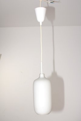 Hanging Light by J. T. Kalmar for Kalmar, 1950s-ZWH-1813721