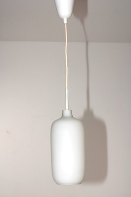 Hanging Light by J. T. Kalmar for Kalmar, 1950s-ZWH-1813721