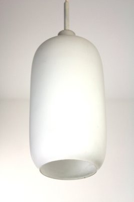 Hanging Light by J. T. Kalmar for Kalmar, 1950s-ZWH-1813721