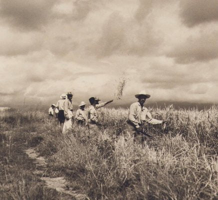 Hanna Seidel, Colombian Rice Harvest, Black and White Photograph, 1960s-DYV-1446660