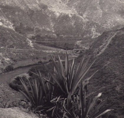 Hanna Seidel, Ecuadorian Landscape, 1960s, Black and White Photograph-DYV-1401405