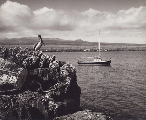 Hanna Seidel, Galápagos Coast, Black and White Photograph, 1960s-DYV-1405606