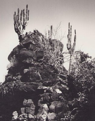 Hanna Seidel, Galápagos Coast, Black and White Photograph, 1960s-DYV-1405604