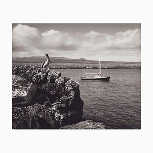 Hanna Seidel, Galápagos Coast, Black and White Photograph, 1960s-DYV-1405606