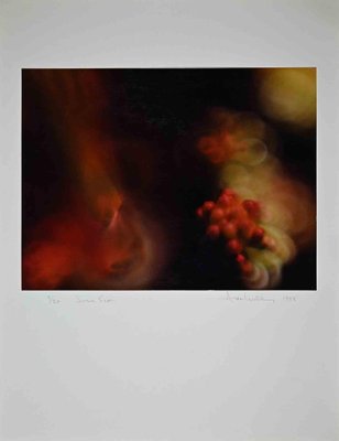 Harold Miller Null, Photographic Exhibition Print, 1988-ZCI-991560