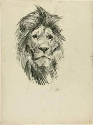 Head of Lion and Tiger - Original Pencil Drawing by Willy Lorenz - 1950s 1950s-ZCI-758780