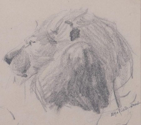 Head of Lion - Original Pencil Drawing by Etha Richter - 1930s 1930s-ZCI-761953