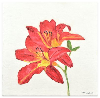 Hemerocallis - Original Oil on Canvas by Marzia Trinca - 2019 2019-ZCI-757201