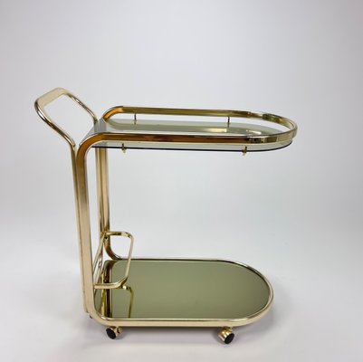 Hollywood Regency Bar Trolley with Brass and Smoked Glass, 1970s-RMX-1298325