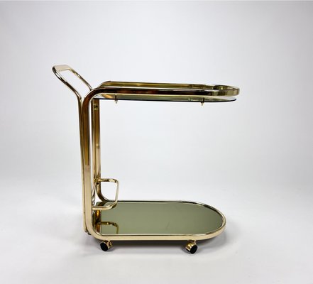 Hollywood Regency Bar Trolley with Brass and Smoked Glass, 1970s-RMX-1298325