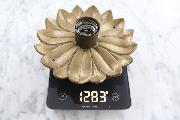 Hollywood Regency Brass Flower Wall Lamp, 1960s-FJP-1771636