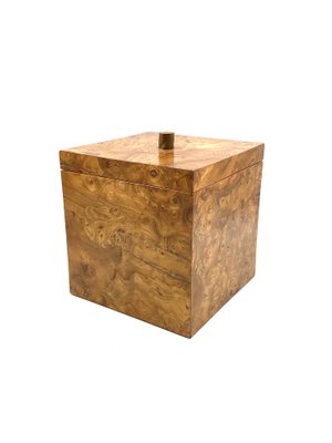 Hollywood Regency Burl Wood and Brass Ice Bucket, Italy, 1970s-TXN-1806963