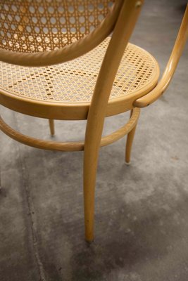 Honey Colored Cane 210 R Armchair from Thonet, 1994-VQY-1179324