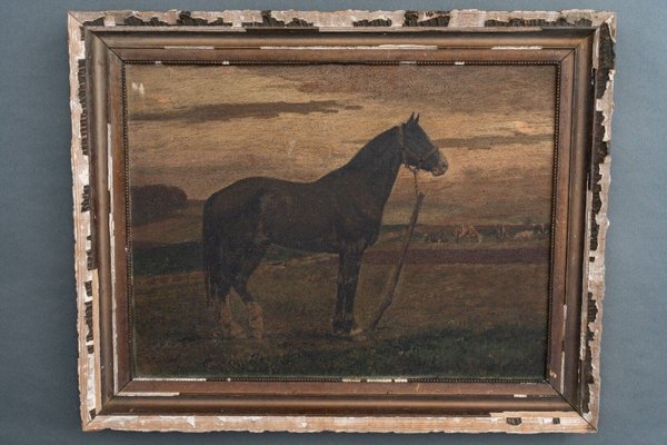 Horse, 19th Century, Oil on Panel, Framed-QKG-1793420