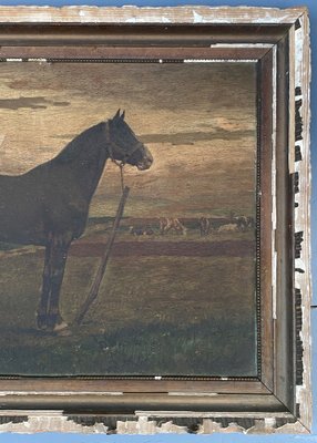 Horse, 19th Century, Oil on Panel, Framed-QKG-1394663