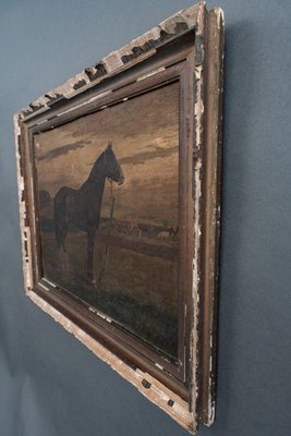 Horse, 19th Century, Oil on Panel, Framed-QKG-1793420