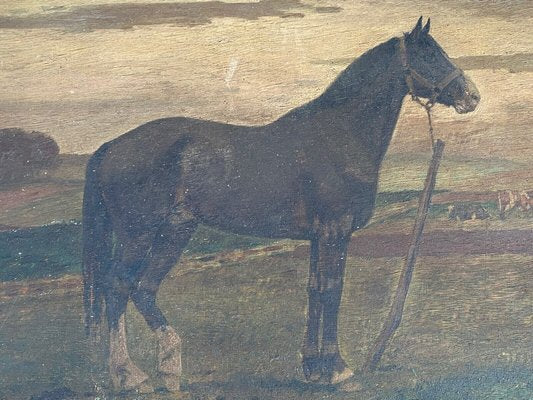 Horse, 19th Century, Oil on Panel, Framed-QKG-1394663