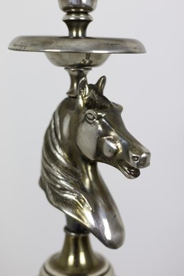 Horse Floor Lamp in Silvered Bronze, 1970s-CEJ-691322