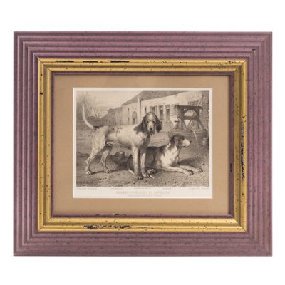 Hunting Graphics, France, 19th-Century, Print, Framed-FSD-1193441