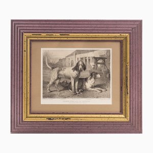 Hunting Graphics, France, 19th-Century, Print, Framed-FSD-1193441