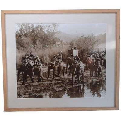 Hunting with Elephants, Photograph-TCS-1161230