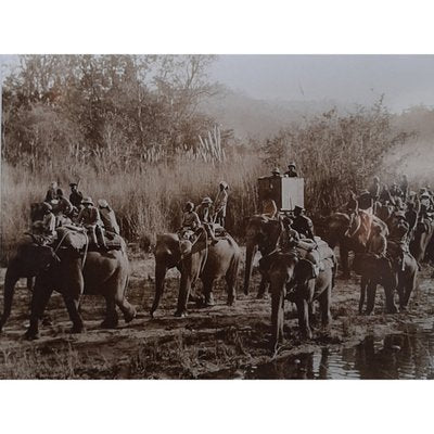 Hunting with Elephants, Photograph-TCS-1161230