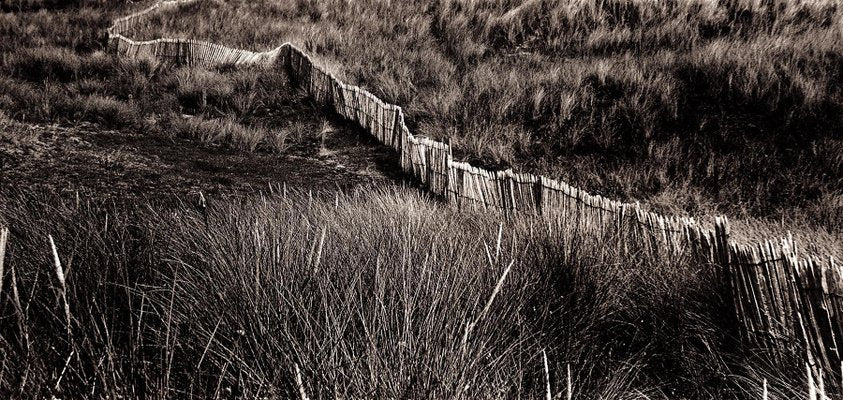 Ian Sanderson, Dune, 1997, Archival Pigment Print-OBQ-942987