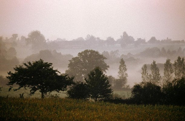 Ian Sanderson, Mayenne, Fine Art Print, 1992-OBQ-942774