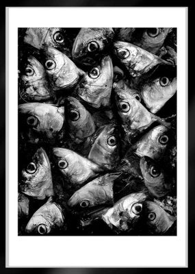 Ian Sanderson, Sardines, Photographic Fine Art Print, 1993-OBQ-1409691