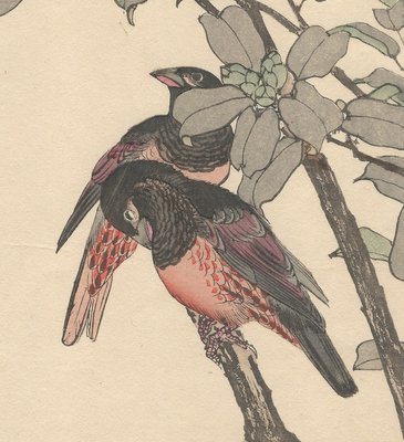 Imao Keinen, Alpine Accentors from Keinen Kacho Gafu, 1892, Woodblock Print-YWW-2035690