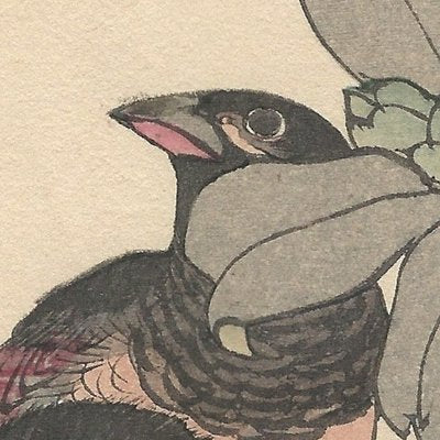 Imao Keinen, Alpine Accentors from Keinen Kacho Gafu, 1892, Woodblock Print-YWW-2035690