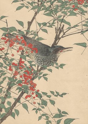 Imao Keinen, Brown-Eared Bulbul from Keinen Kacho Gafu, 1892, Woodblock Print-YWW-2035693