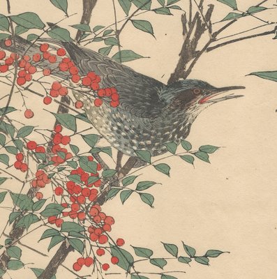 Imao Keinen, Brown-Eared Bulbul from Keinen Kacho Gafu, 1892, Woodblock Print-YWW-2035693