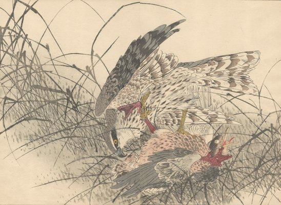 Imao Keinen, Double-Page Eurasian Goshawk Grabbing Eurasian Teal from Keinen Kacho Gafu, 1892, Woodblock Print-YWW-2035984