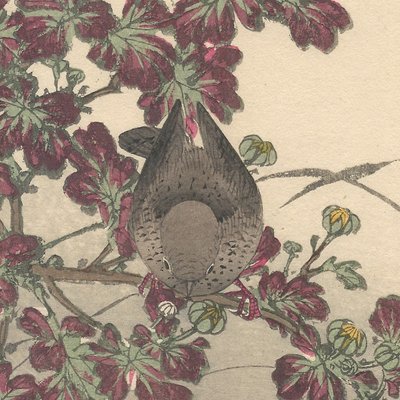 Imao Keinen, Eurasian Wren from Keinen Kacho Gafu, 1892, Woodblock Print-YWW-2035685