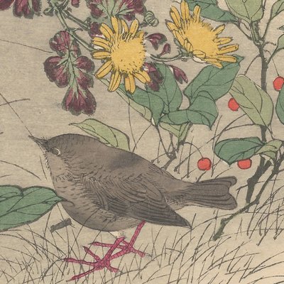 Imao Keinen, Eurasian Wren from Keinen Kacho Gafu, 1892, Woodblock Print-YWW-2035685