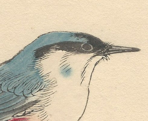 Imao Keinen, Japanese Nuthatch from Keinen Kacho Gafu, 1892, Woodblock Print-YWW-2035695