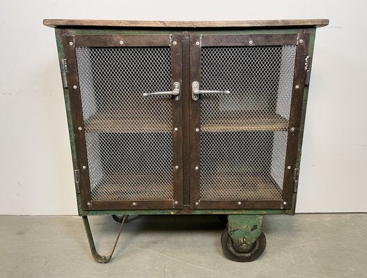 Industrial Iron Cabinet with Mesh Doors on Wheels, 1960s-CGF-1404578