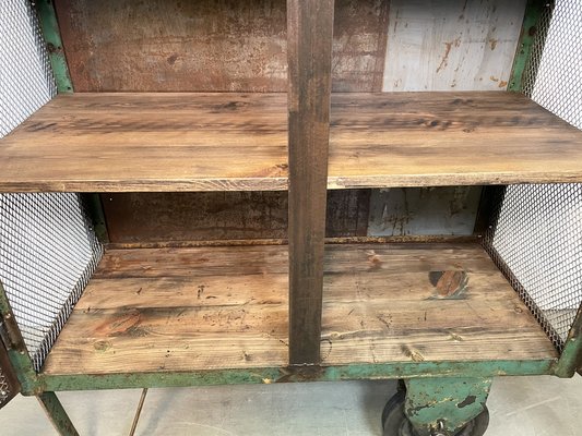 Industrial Iron Cabinet with Mesh Doors on Wheels, 1960s-CGF-1404578