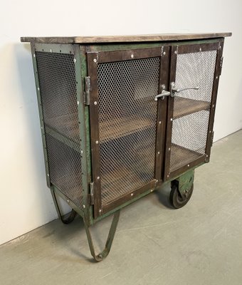 Industrial Iron Cabinet with Mesh Doors on Wheels, 1960s-CGF-1404578