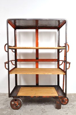 Industrial Shelving Unit on Wheels, 1950s-AOX-1737286