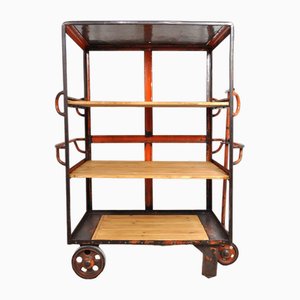 Industrial Shelving Unit on Wheels, 1950s-AOX-1737286