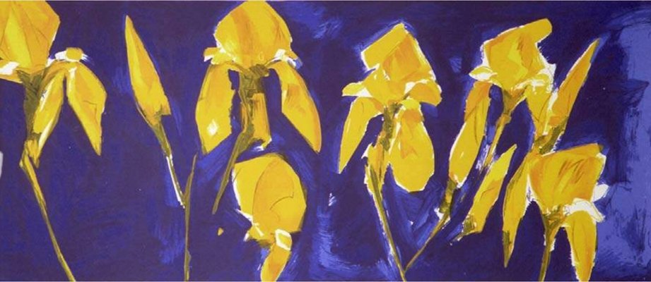 Iris III, 1995 Bernd Zimmer-PLZ-1050585