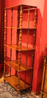 Italian 19th Century Regency Style Rustic Walnut Open Shelves Bookcase-AXE-1437430