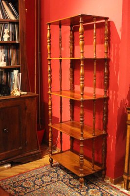 Italian 19th Century Regency Style Rustic Walnut Open Shelves Bookcase-AXE-1437430