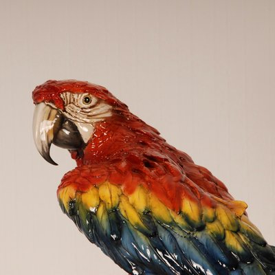 Italian Art Deco Porcelain Macaw or Parrot in the style of Cacciapuoti for Capodimonte, Early 20th Century-GOE-1403004